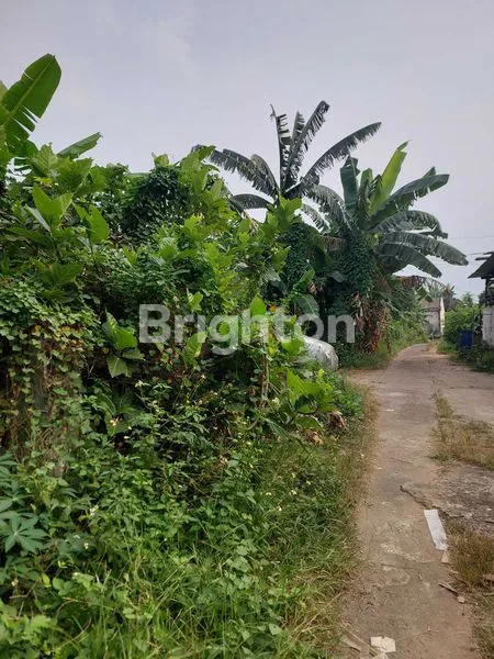 image TANAH 1100 DI CIANGSANA DEPAN KOTA WISATA (5)