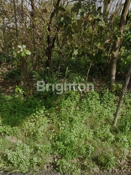 TANAH, LOKASI NOL JALAN RAYA