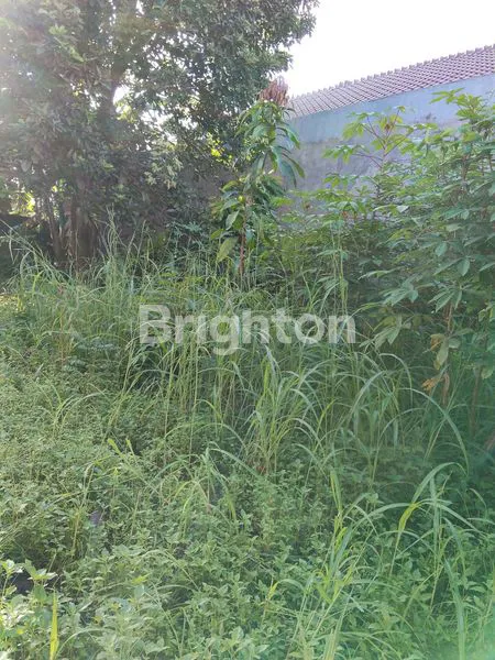 image TANAH LOKASI STRATEGIS DEKAT PINTU TOL KUKUSAN DEPOK (2)