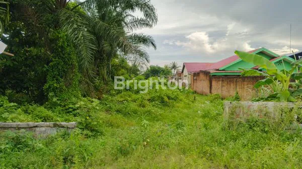 image TANAH STRATEGIS DIPINGGIR JALAN LINTAS BINJAI LUAS 2.320M2 DIJUAL (5)