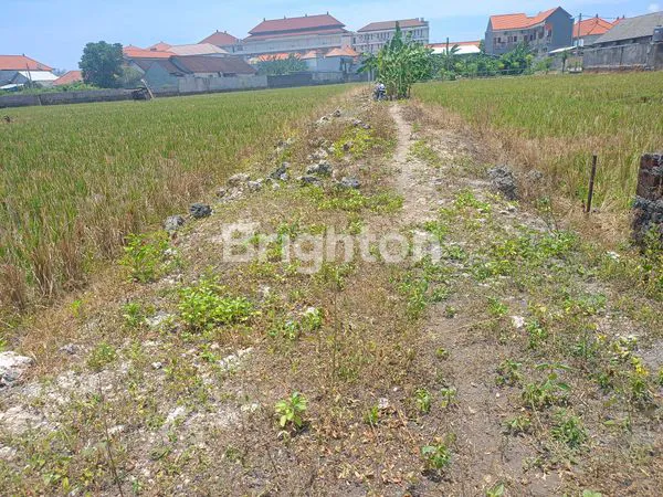 image TANAH STRATEGIS 244M² DI RENON, SIAP HUNI EKSKLUSIF (5)