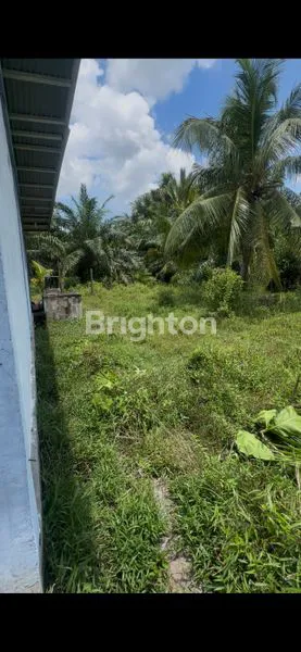 image DIJUAL RUMAH + TANAH DI BENGKALIS (KELEMANTAN BARAT) (3)
