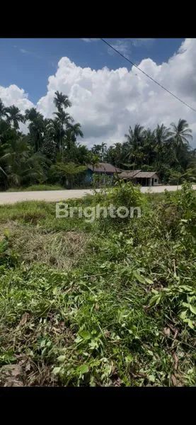image DIJUAL RUMAH + TANAH DI BENGKALIS (KELEMANTAN BARAT) (4)