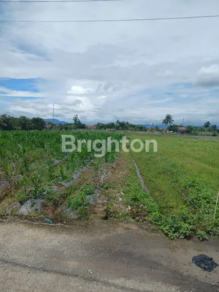 image JUAL TANAH, LUAS DAN DATAR, DILOKASI STRATEGIS (1)