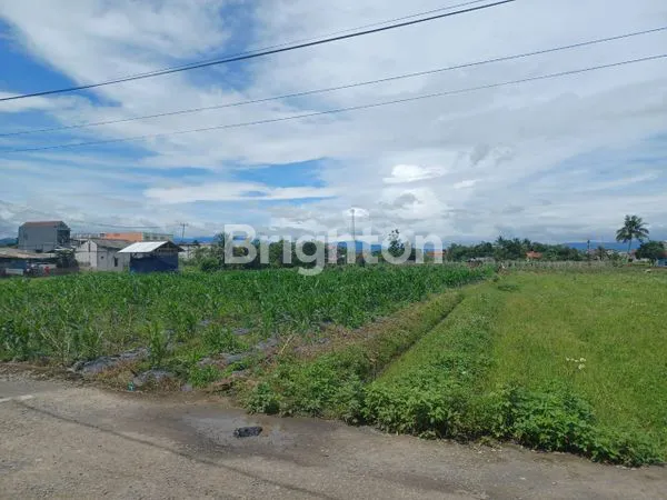 image JUAL TANAH, LUAS DAN DATAR, DILOKASI STRATEGIS (3)