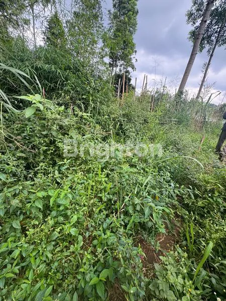 image INVESTASI TANAH PUNCLUT, AKSES MUDAH (3)