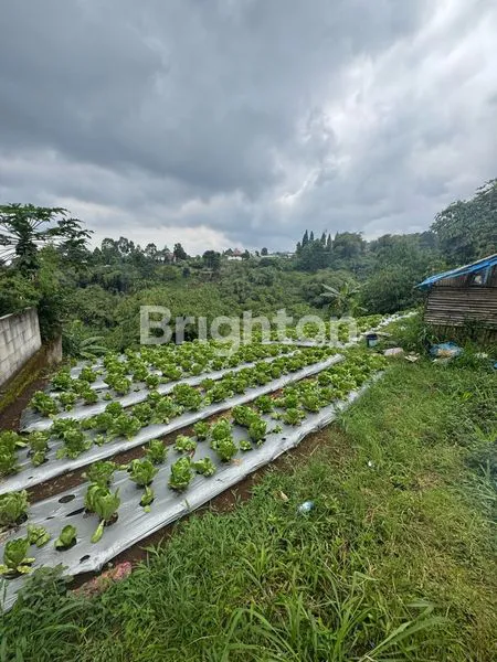 image INVESTASI TANAH PUNCLUT, AKSES MUDAH (4)