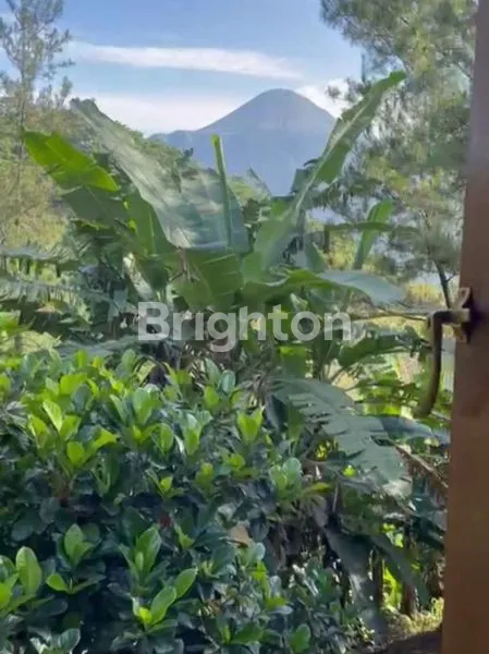 image VILLA GRAND TRAWAS BY INTILAND, SATU KAWASAN DENGAN HOTEL GRAND WHIZ TRAWAS MOJOKERTO (8)