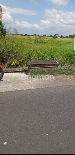 SEWA TANAH DARMASABA ABIANSEMAL