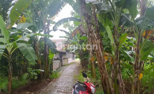 image DEPOK DEKAT ALUN ALUN TANAH SHM (3)