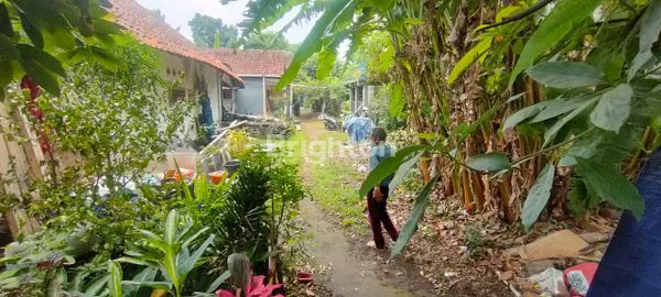 image TANAH STRATEGIS SHM DI JL. PABRIK ACI (3)