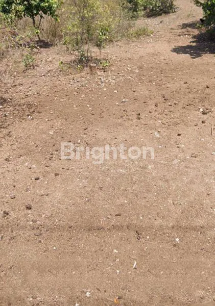 image TANAH STRATEGIS LOKASI PREMIUM UNTUK KOMPLEK VILLA ATAU RESORT MEWAH DEKAT PANTAI MELASTI UNGASAN JIMBARAN (2)