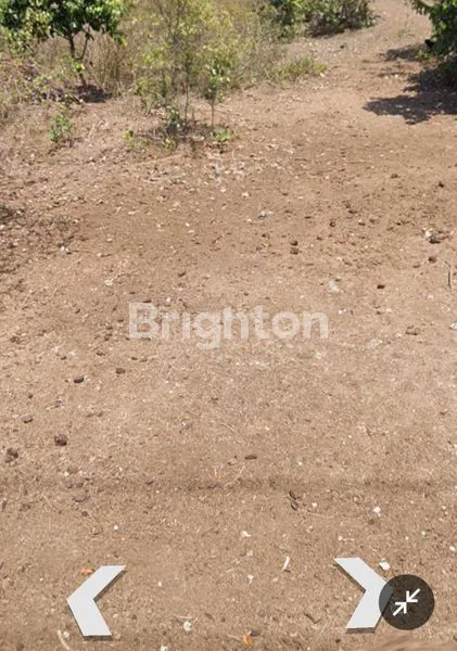 image TANAH STRATEGIS LOKASI PREMIUM UNTUK KOMPLEK VILLA ATAU RESORT MEWAH DEKAT PANTAI MELASTI UNGASAN JIMBARAN (4)