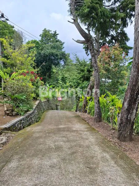 image DIJUAL TANAH DAN RUMAH (2)