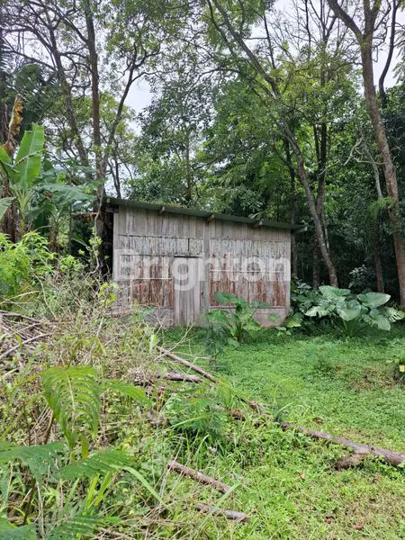 image DIJUAL TANAH DAN RUMAH (3)