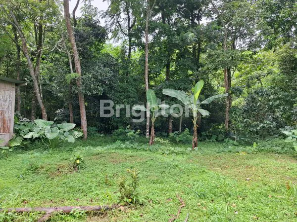 image DIJUAL TANAH DAN RUMAH (7)