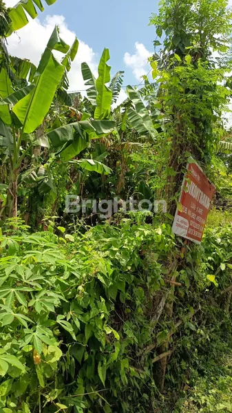 image DISEWA TANAH DI JALAN JAYA PANGUS (3)