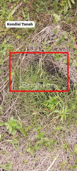 DIJUAL TANAH 782 M² JL. NANGKA - PEKANBARU.