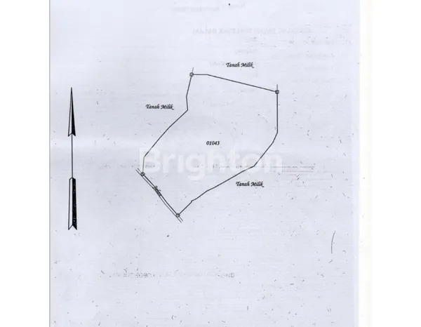 image TANAH LUAS 5 HEKTAR DI DESA BUKTI BULELENG (1)