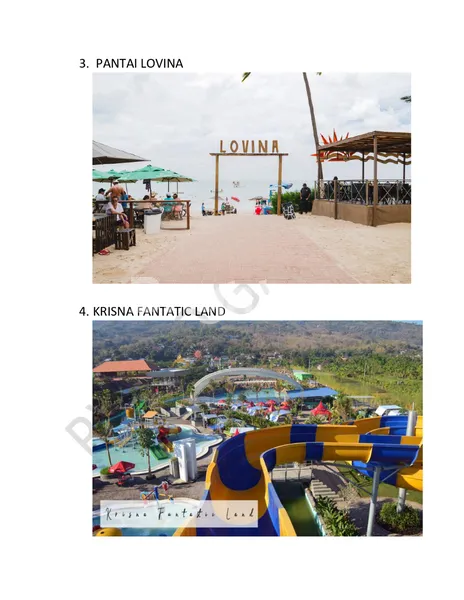 image TANAH LUAS 5 HEKTAR DI DESA BUKTI BULELENG (3)