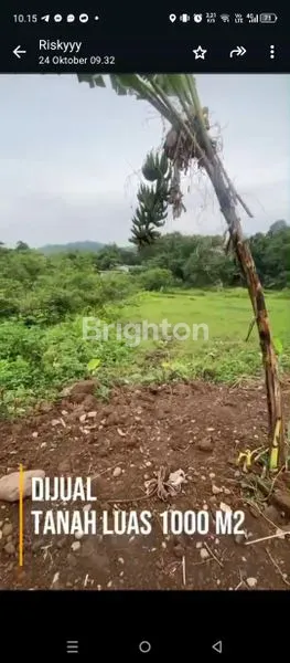 image TANAH LUAS 1000M² SHM DI CIOMAS BOGOR (3)