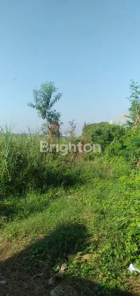 image TANAH STRATEGIS 7.026M² DEKAT TOL GUNUNGSARI (6)