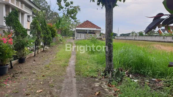image TANAH 238 M2 DI KARANGMALANG SRAGEN  (1)