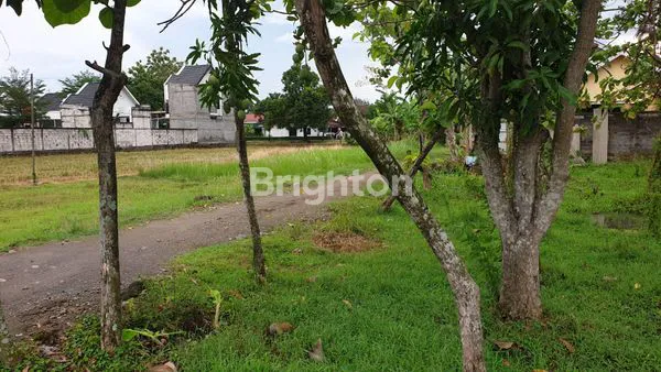 image TANAH 238 M2 DI KARANGMALANG SRAGEN  (8)