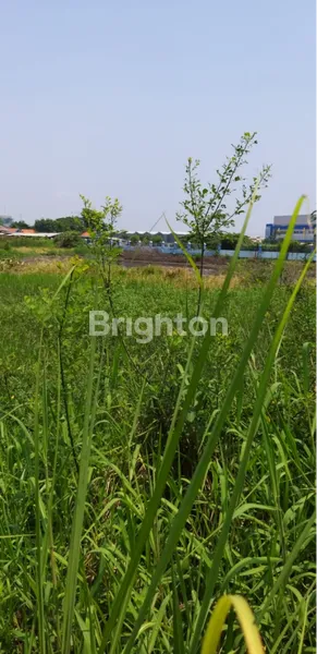 image TANAH NOLL JALAN PROVINSI LINGKAR TIMUR SIDOARJO, LOKASI STRATEGIS RAMAI, ZONA INDUSTRI, COCOK UNTUK PERGUDANGAN, RUKO, ATAUPUN PERUMAHAN, DEKAT PERGUDANGAN SIRIE (3)