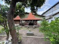 WhatsApp Image 2025 10 27 at 11.50.07