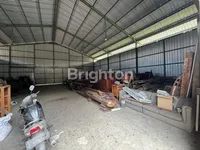 WhatsApp Image 2025 10 27 at 11.50.09 1