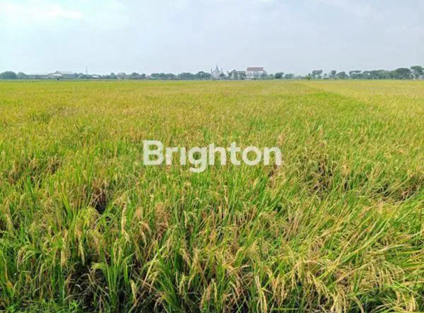 image TANAH LUAS 3.915 M DI SRAGEN DEKAT SEKOLAH AL AZHAR (1)