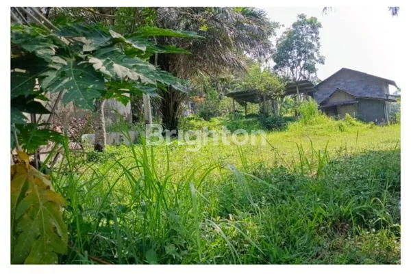 image TANAH DI JL. PERINTIS KEMERDEKAAN TEMANGGUNG (3)