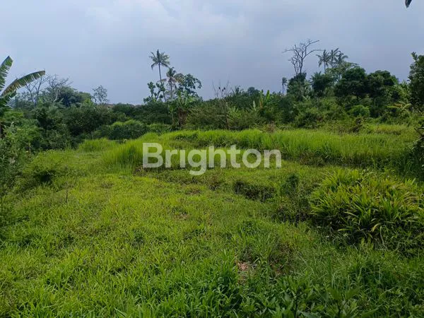 image LAHAN STRATEGIS DI MALANG DEKAT PONDOK ARROMAH (3)