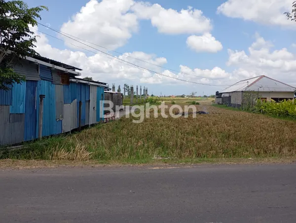 DISEWAKAN TANAH 13 ARE DI DARMASABA, BADUNG — SHM, COCOK UNTUK HUNIAN, VILLA, ATAU INVESTASI