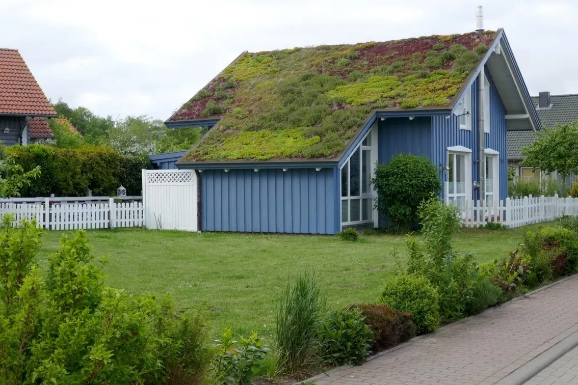 atap rumah hijau green roof house atap rumah terbaik3