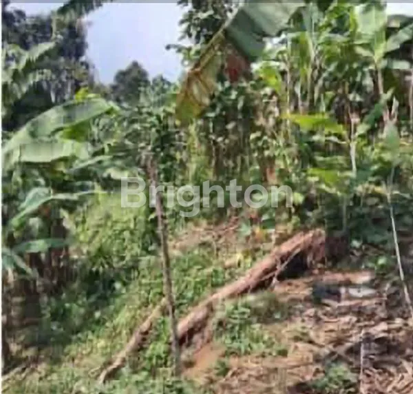 image TANAH NGANTONG DI PINGGIR JALAN RAYA  JUAL DIBAWAH NJOP (4)