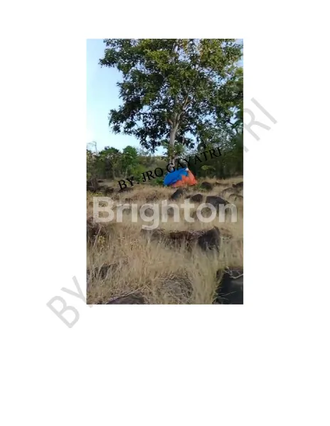 image TANAH LUAS DI DESA BUNUTAN, ABANG – KARANGASEM, BALI TIMUR (1)