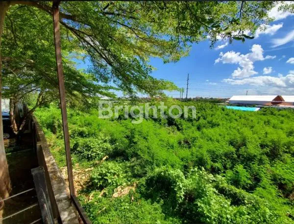 SEWA TANAH TEUKU UMAR