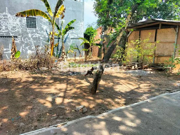 image TANAH SIAP BANGUN DEKAT UNDIP (1)