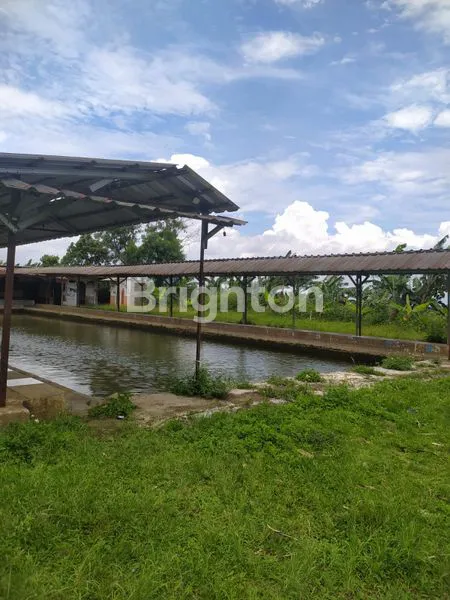 image DISEWAKAN TANAH LUAS STRATEGIS DEPAN JALAN BESAR DI BOGOR (3)