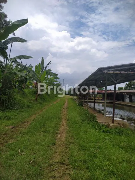image DISEWAKAN TANAH LUAS STRATEGIS DEPAN JALAN BESAR DI BOGOR (1)