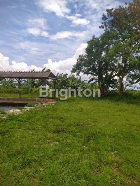 image DISEWAKAN TANAH LUAS STRATEGIS DEPAN JALAN BESAR DI BOGOR (2)