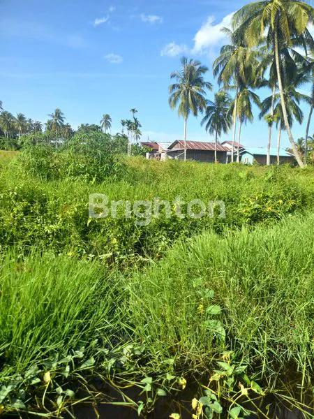 image TANAH LUAS 8.650M² DI ROKAN HILIR (2)