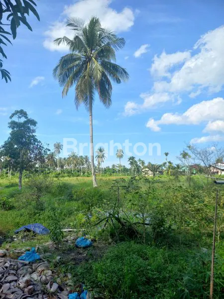 image TANAH LUAS 8.650M² DI ROKAN HILIR (4)