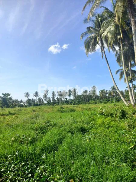 image TANAH LUAS 8.650M² DI ROKAN HILIR (1)