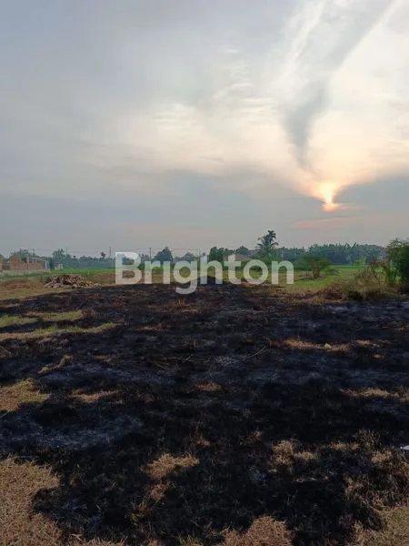 image TANAH DEKAT KNO PINGGIR JALAN (4)