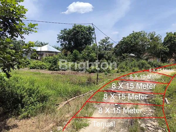 image LAHAN KAPLINGAN (1)