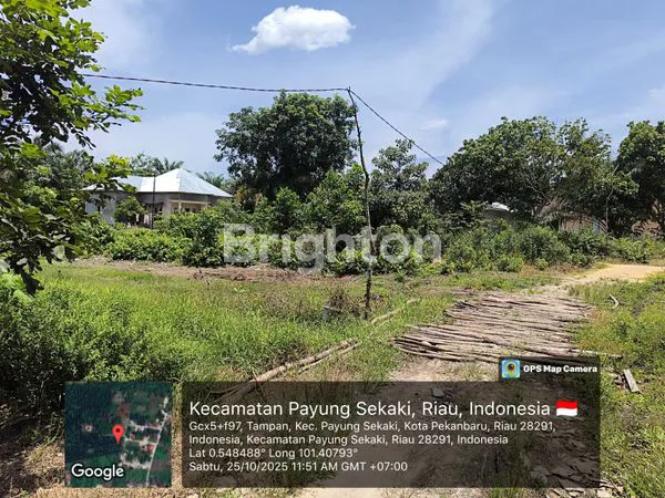 image LAHAN KAPLINGAN (2)