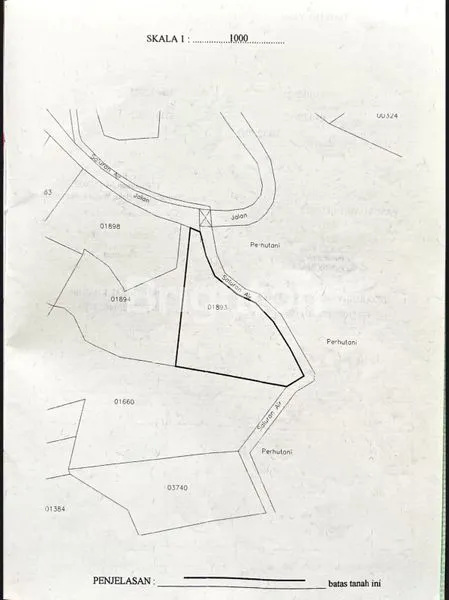 image TANAH KEBUN DI PASURUAN JAWA TIMUR (2)